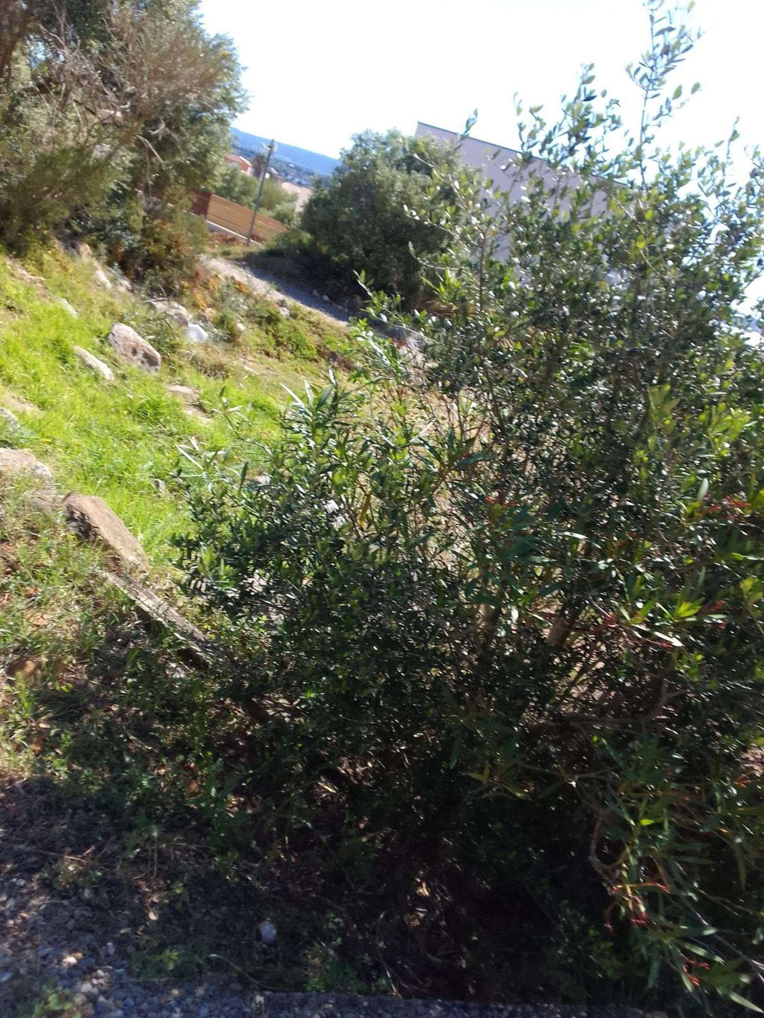 Gite De L'Etang Proche Des Grands Buffets Ναρμπόν Εξωτερικό φωτογραφία